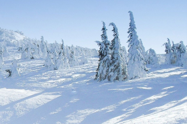 冬季操作要點(diǎn)